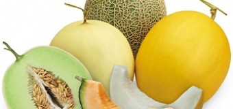 Kandungan Buah Melon Sebagai Sistem Proteksi Bagi Tubuh