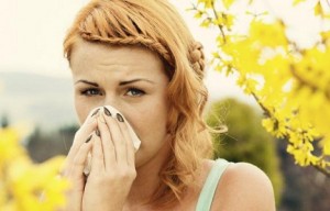 alergi musim semi