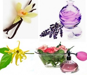 bunga bahan parfum