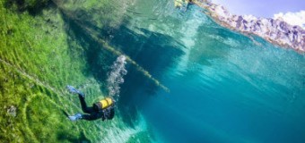 Grüner See: Pemandangan Ciamik di Bawah Danau