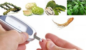 ramuan herbal untuk diabetes