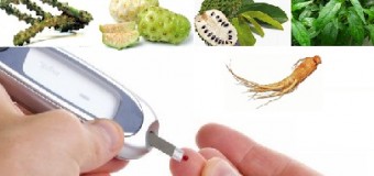 Cara Mengobati Penyakit Diabetes Menggunakan Ramuan Herbal