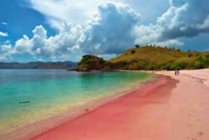 Pantai Pink, Pulau Komodo